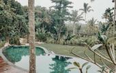 Туры в отель The Mesare Resort