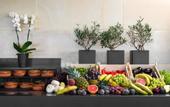 Туры в отель Ikones Seafront Luxury Suites - Adults Only