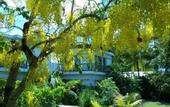Туры в отель Cap Heureux Villas