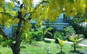 Туры в отель Cap Heureux Villas