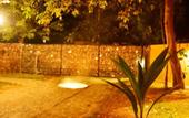 Туры в отель Lizard Safari Lodge