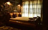 Туры в отель Lizard Safari Lodge