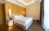 Туры в отель DoubleTree by Hilton Ahmedabad