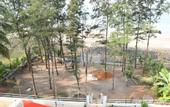 Туры в отель Sea Princess Beach Resort
