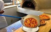 Туры в отель White Dream Lodge & Restaurant