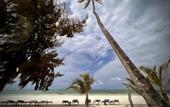 Туры в отель White Dream Lodge & Restaurant