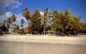 Туры в отель White Dream Lodge & Restaurant
