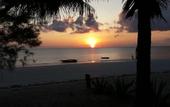Туры в отель White Dream Lodge & Restaurant