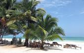 Туры в отель White Dream Lodge & Restaurant