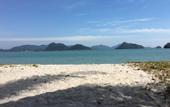 Туры в отель Wild Pasir Panjang