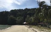 Туры в отель Wild Pasir Panjang