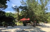 Туры в отель Wild Pasir Panjang