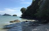 Туры в отель Wild Pasir Panjang