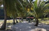 Туры в отель Wild Pasir Panjang