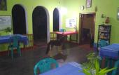 Туры в отель Ravana Beach Cabanas