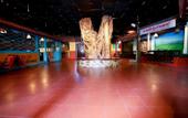 Туры в отель Itlalat Al Shorouq Hotel