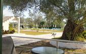 Туры в отель Alykes Family Resort