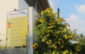 Туры в отель Amadha Villas Retreat