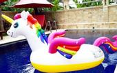 Туры в отель Grand Raka Homestay