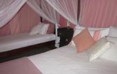 Туры в отель Vero Homestay