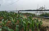 Туры в отель Riverside Hamlet Homestay & Villas