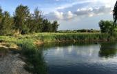 Туры в отель Riverside Hamlet Homestay & Villas