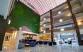 Туры в отель Best Western Plus Santa Cecilia Pachuca