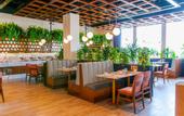 Туры в отель Best Western Plus Santa Cecilia Pachuca