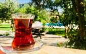 Туры в отель Olive Garden Pansiyon