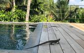 Туры в отель Good Vibes Villas Retreat And Restaurant