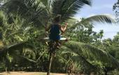 Туры в отель Good Vibes Villas Retreat And Restaurant