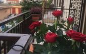 Туры в отель Damanto&Romanino