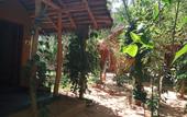 Туры в отель Sandalwood Cottage