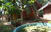 Туры в отель Sandalwood Cottage