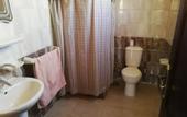Туры в отель Happy days pyramids inn