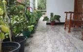 Туры в отель Rich Resort & Restaurant