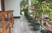 Туры в отель Rich Resort & Restaurant