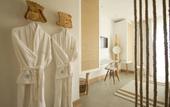 Туры в отель Aelia Wellness Retreat