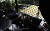 Туры в отель Kloem Hostel - Adults Only