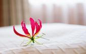 Туры в отель Отель Movenpick Hotel & Residences Nairobi