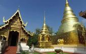 Туры в отель What's Up Chiang Mai - Hostel