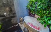 Туры в отель Mahi Mahi Villa & Suites