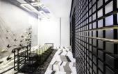 Туры в отель The Wings Hotels Karakoy