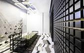 Туры в отель The Wings Hotels Karakoy