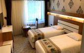 Туры в отель Grand Alin Hotel Tokat