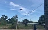 Туры в отель The Coconut