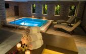 Туры в отель Mirart Hotel Boutique & SPA Yalova