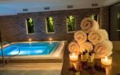 Туры в отель Mirart Hotel Boutique & SPA Yalova