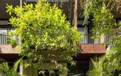 Туры в отель Cherlock Hotel