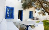 Туры в отель Les Jardins Du Phare De Sidi Bou Said